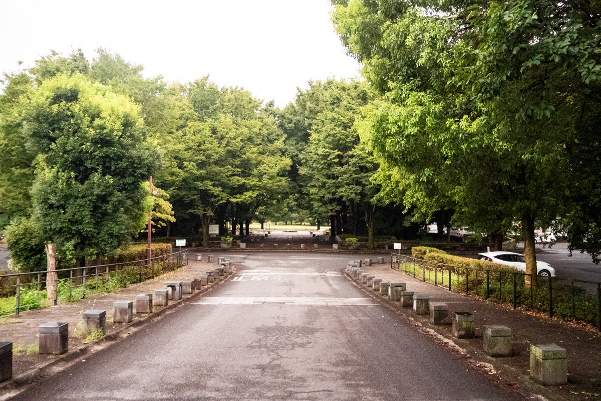 見沼 自然 公園
