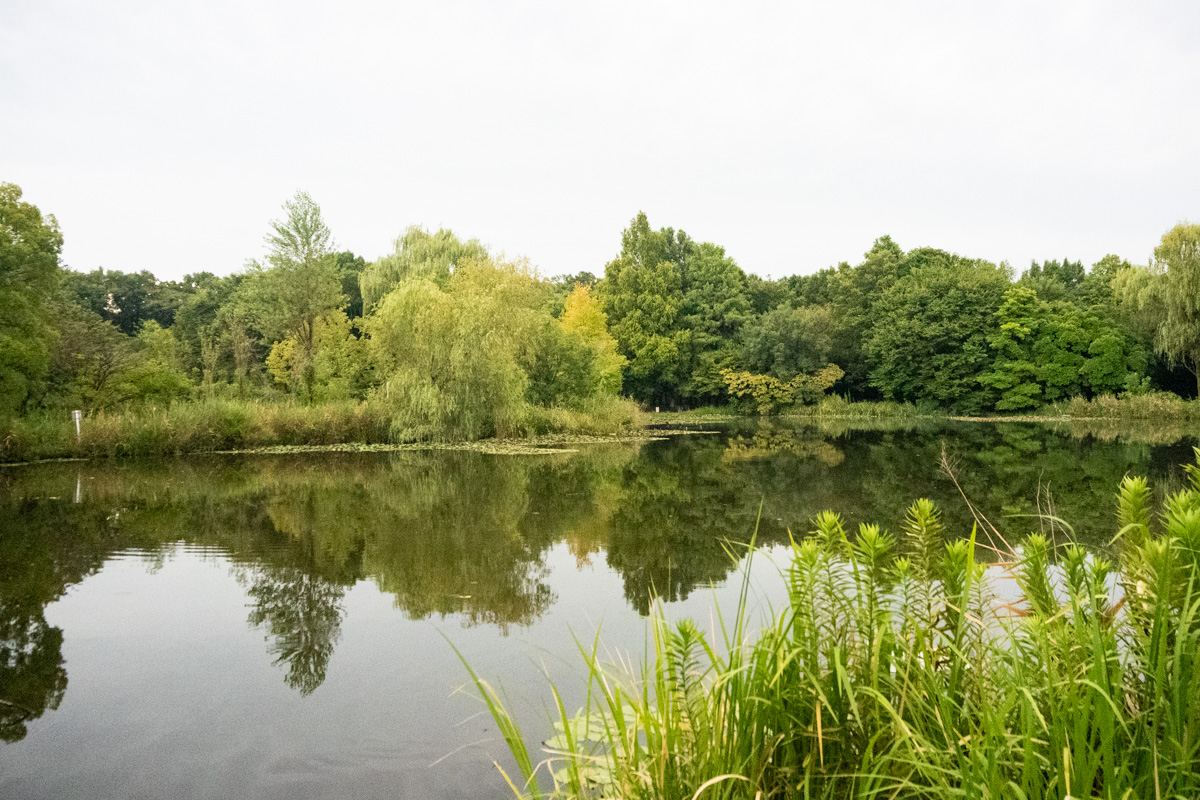 見沼 自然 公園