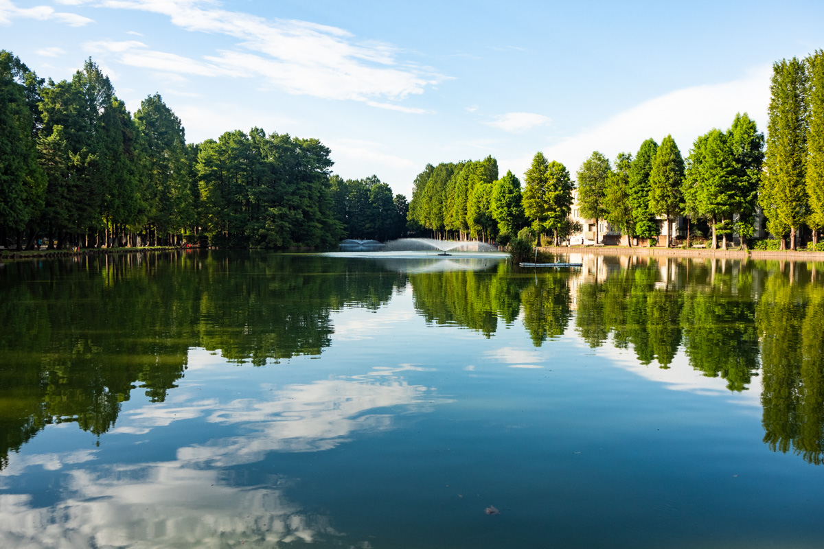 別所 沼 公園
